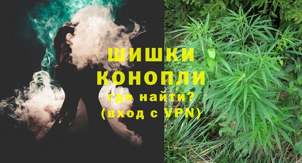 spice Каменногорск