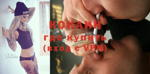 mdpv Каменка
