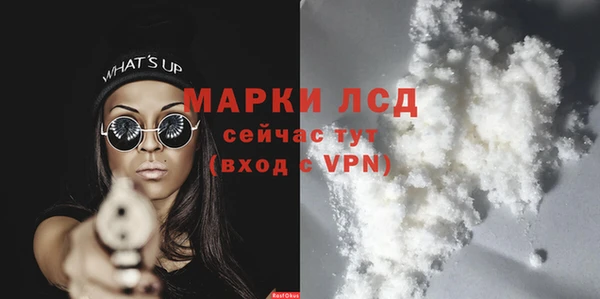 spice Каменногорск