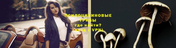mdpv Каменка
