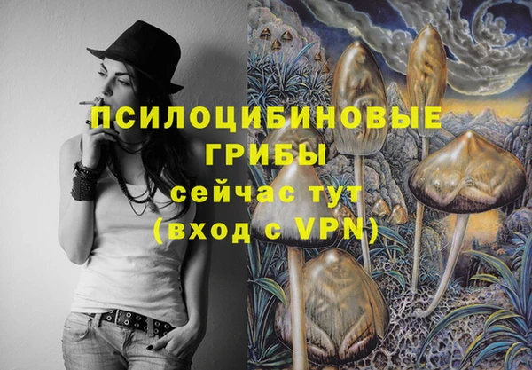 прущие крисы Каменск-Шахтинский