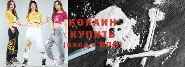 mdpv Каменка