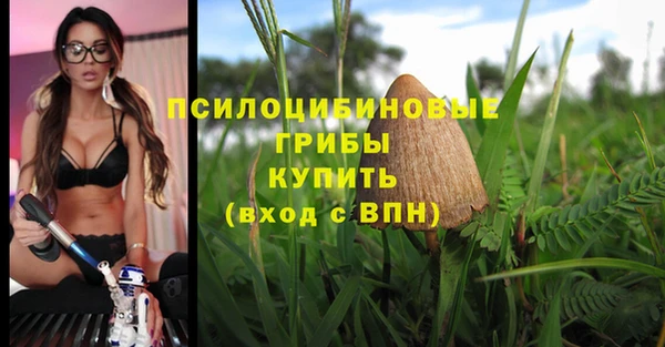 spice Каменногорск