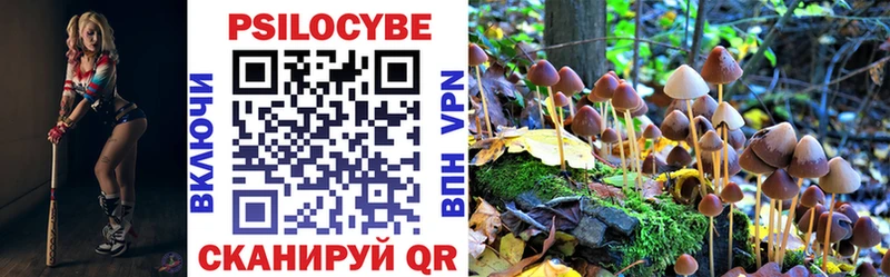 Псилоцибиновые грибы GOLDEN TEACHER Купить где Касимов